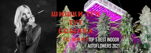 твердый Нея