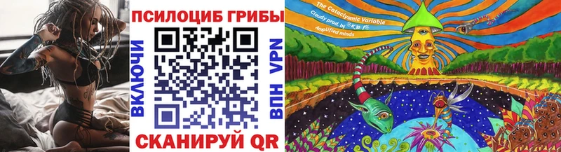 Псилоцибиновые грибы Psilocybe  Нижние Серги 